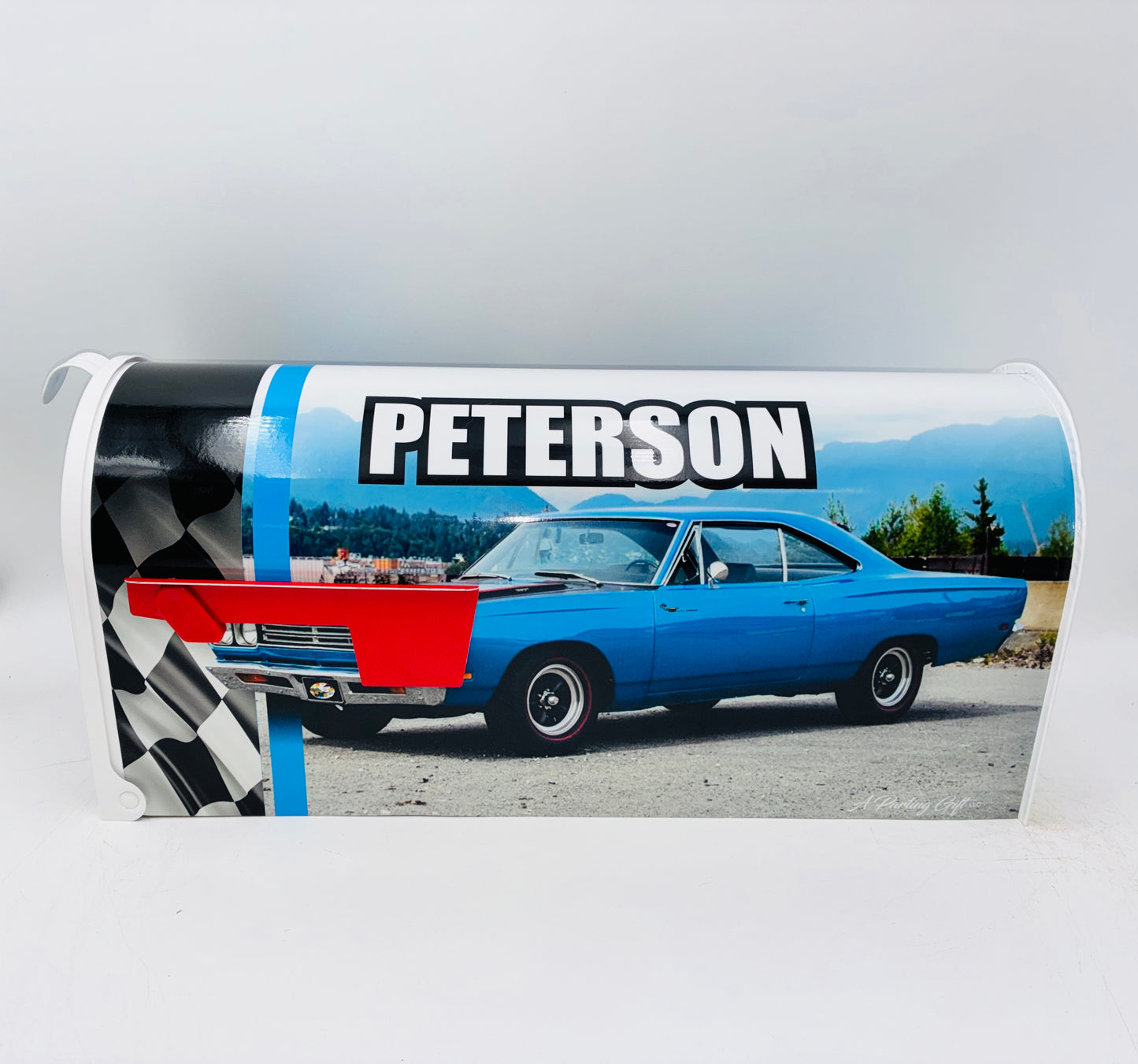 Roadrunner Custom Mailbox Gifts for Independence Day