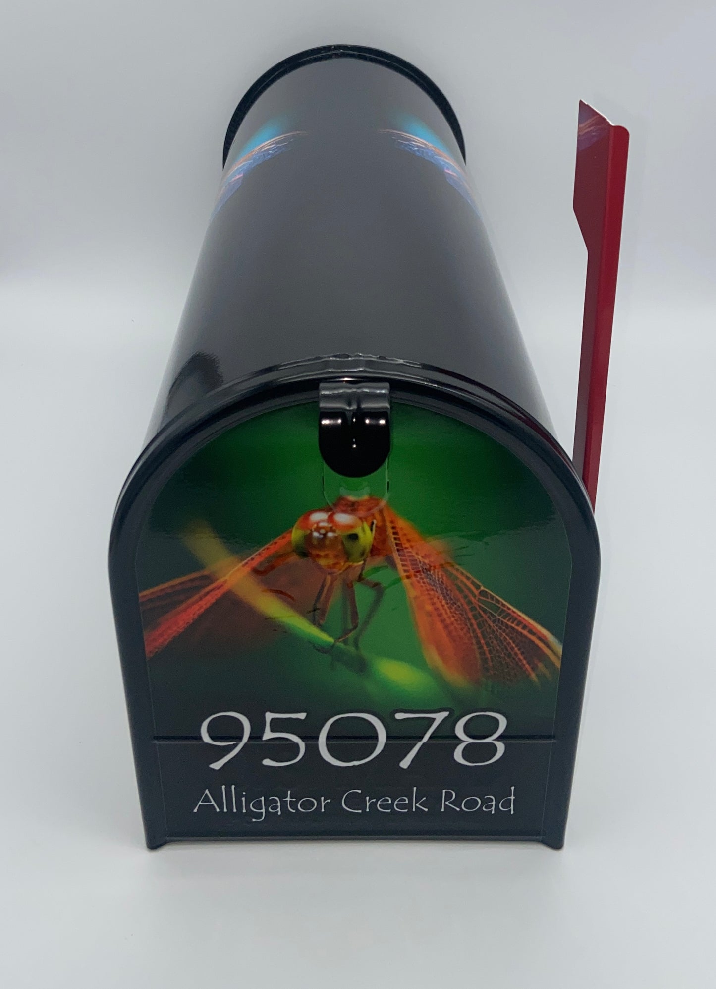 Dragonfly Custom Mailbox, Personalized Gift of Nature