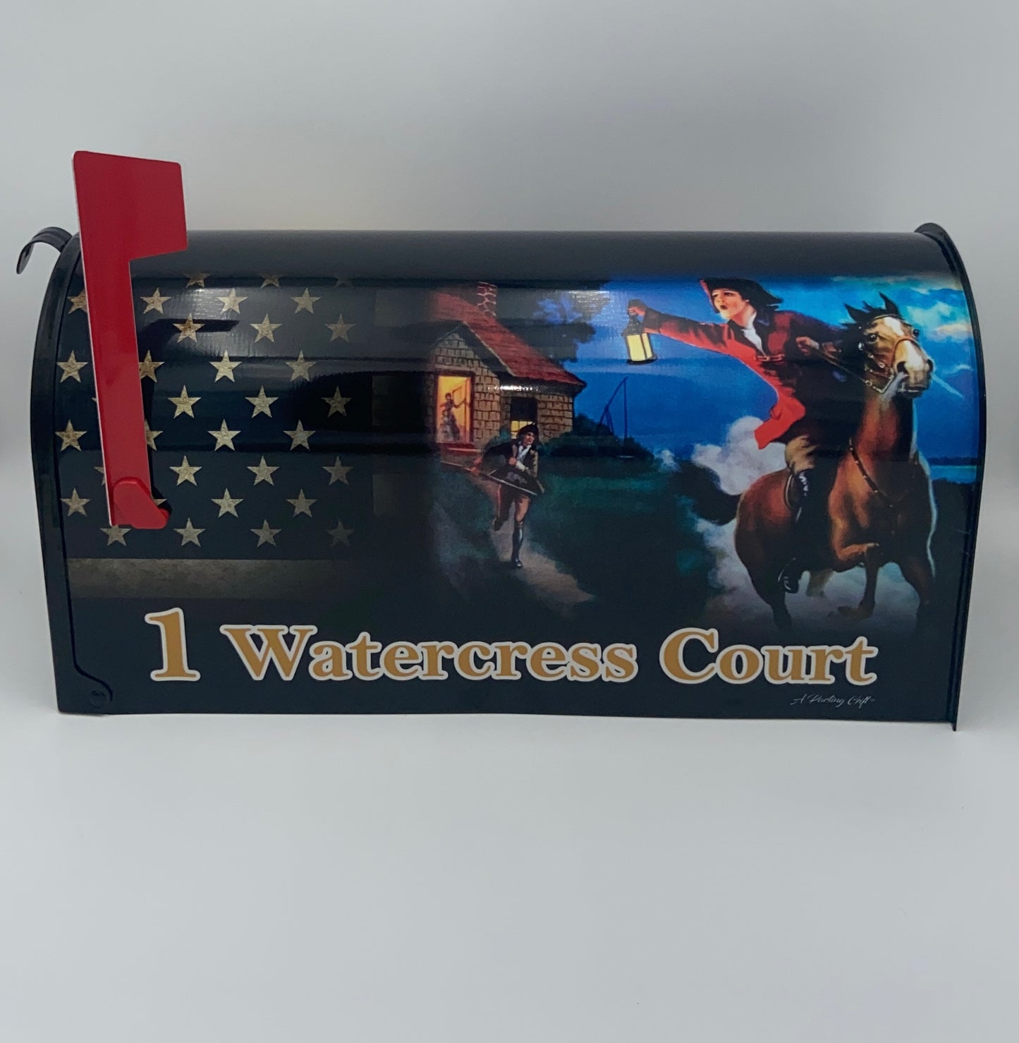 We the People Custom mailbox, Patriotic American Gift Idea for 4th of July