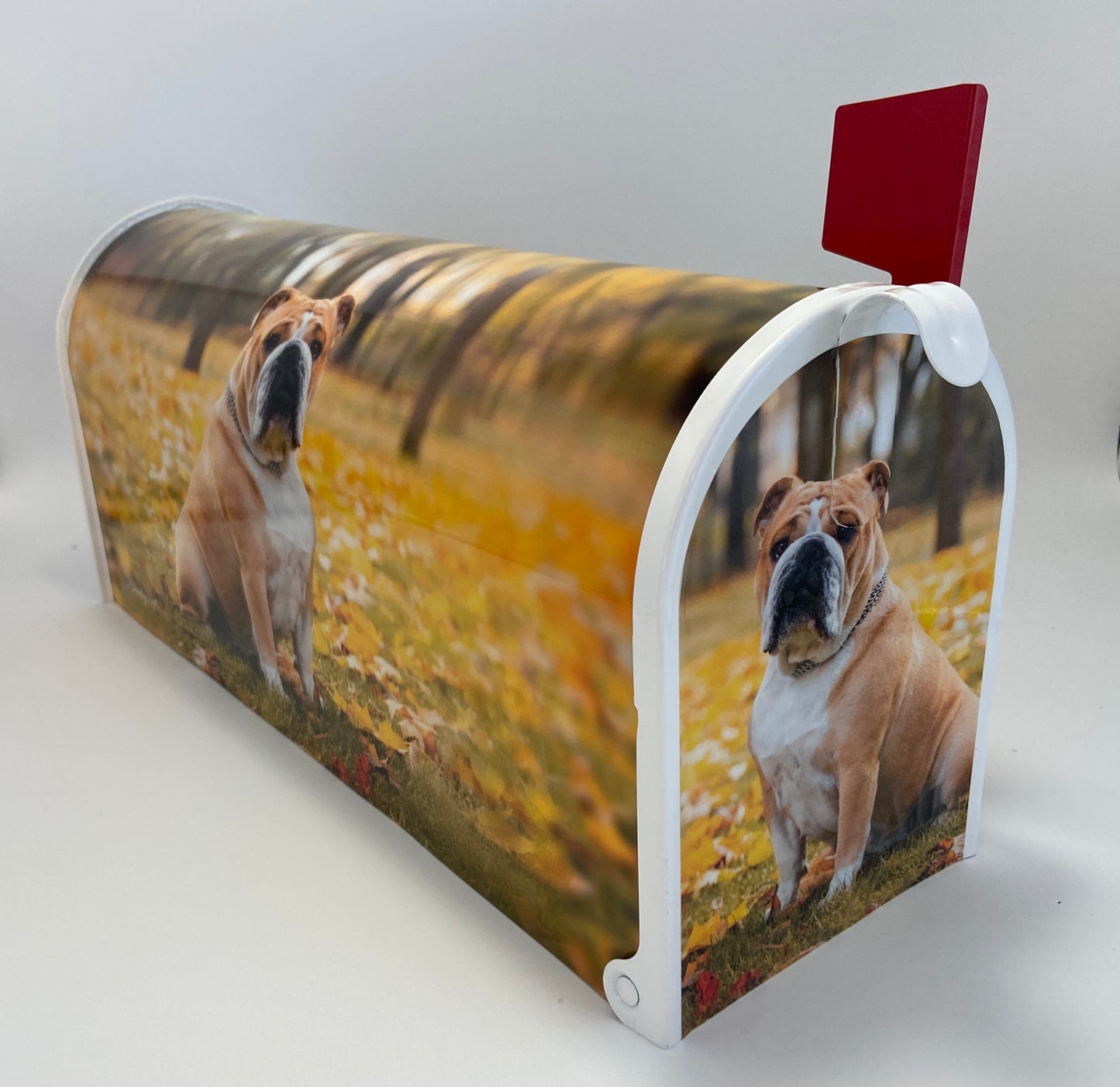 English Bulldog Custom Mailbox, Gift for Mom, Gift for Dad
