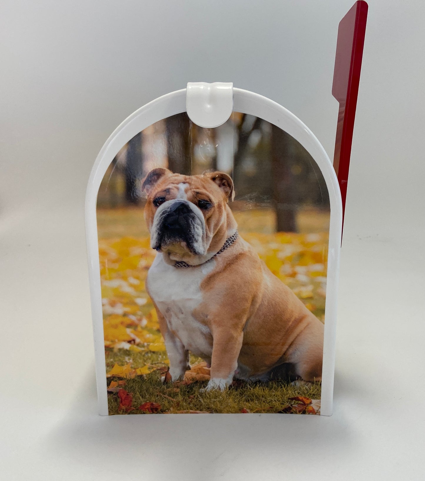 English Bulldog Custom Mailbox, Gift for Mom, Gift for Dad