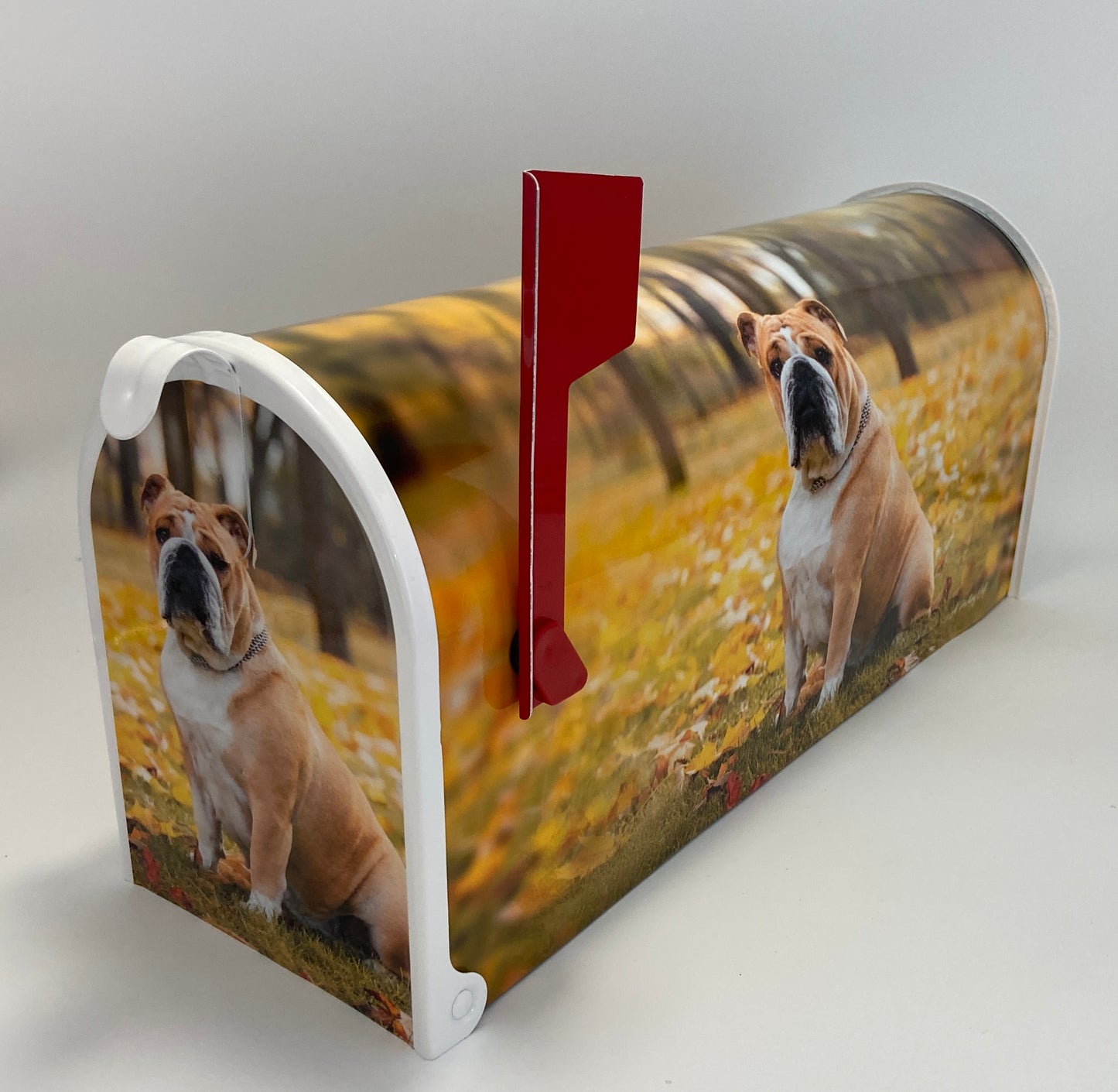 English Bulldog Custom Mailbox, Gift for Mom, Gift for Dad