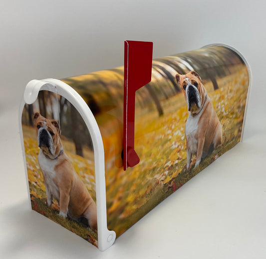 English Bulldog Custom Mailbox, Gift for Mom, Gift for Dad