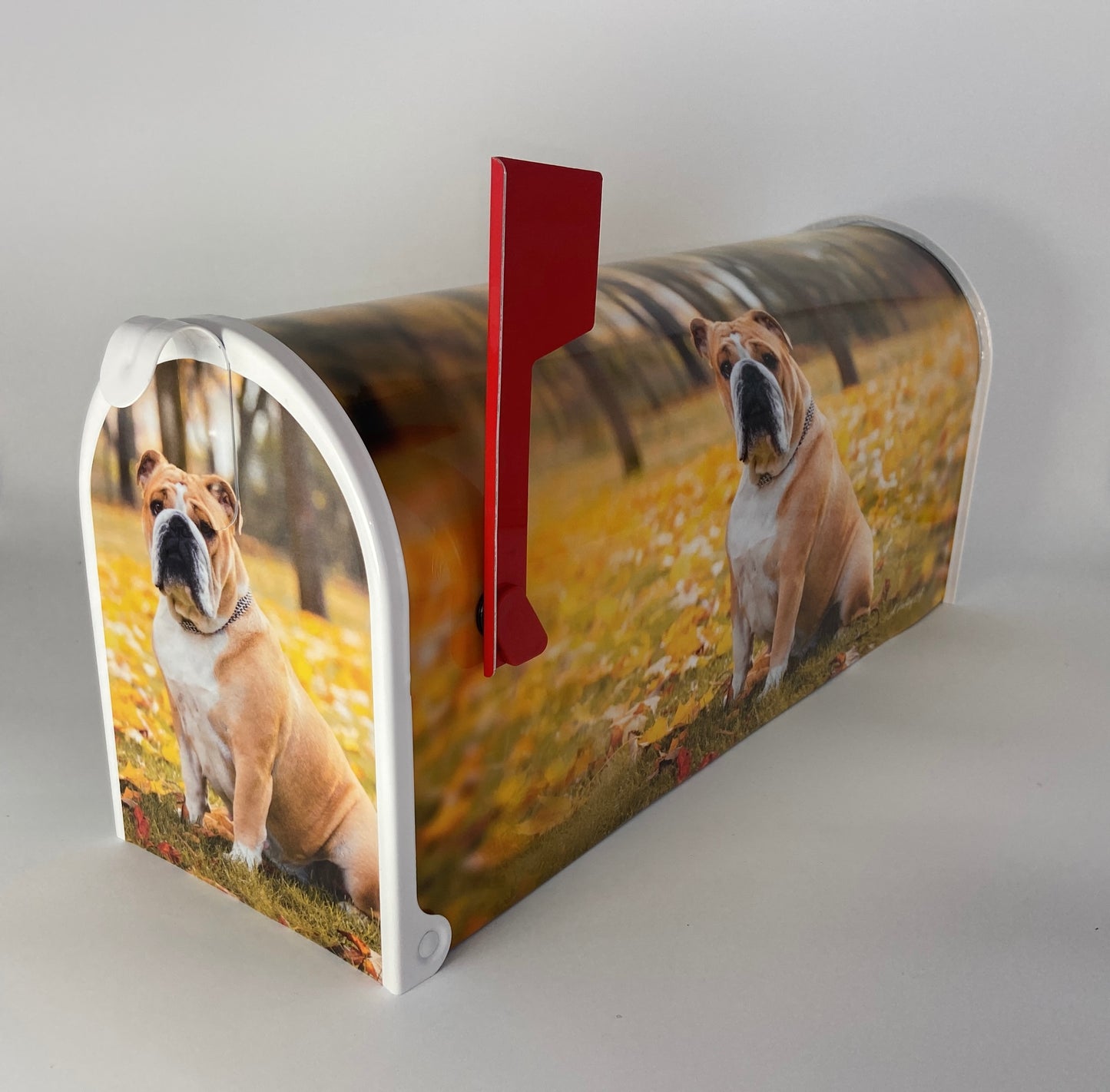 English Bulldog Custom Mailbox, Gift for Mom, Gift for Dad