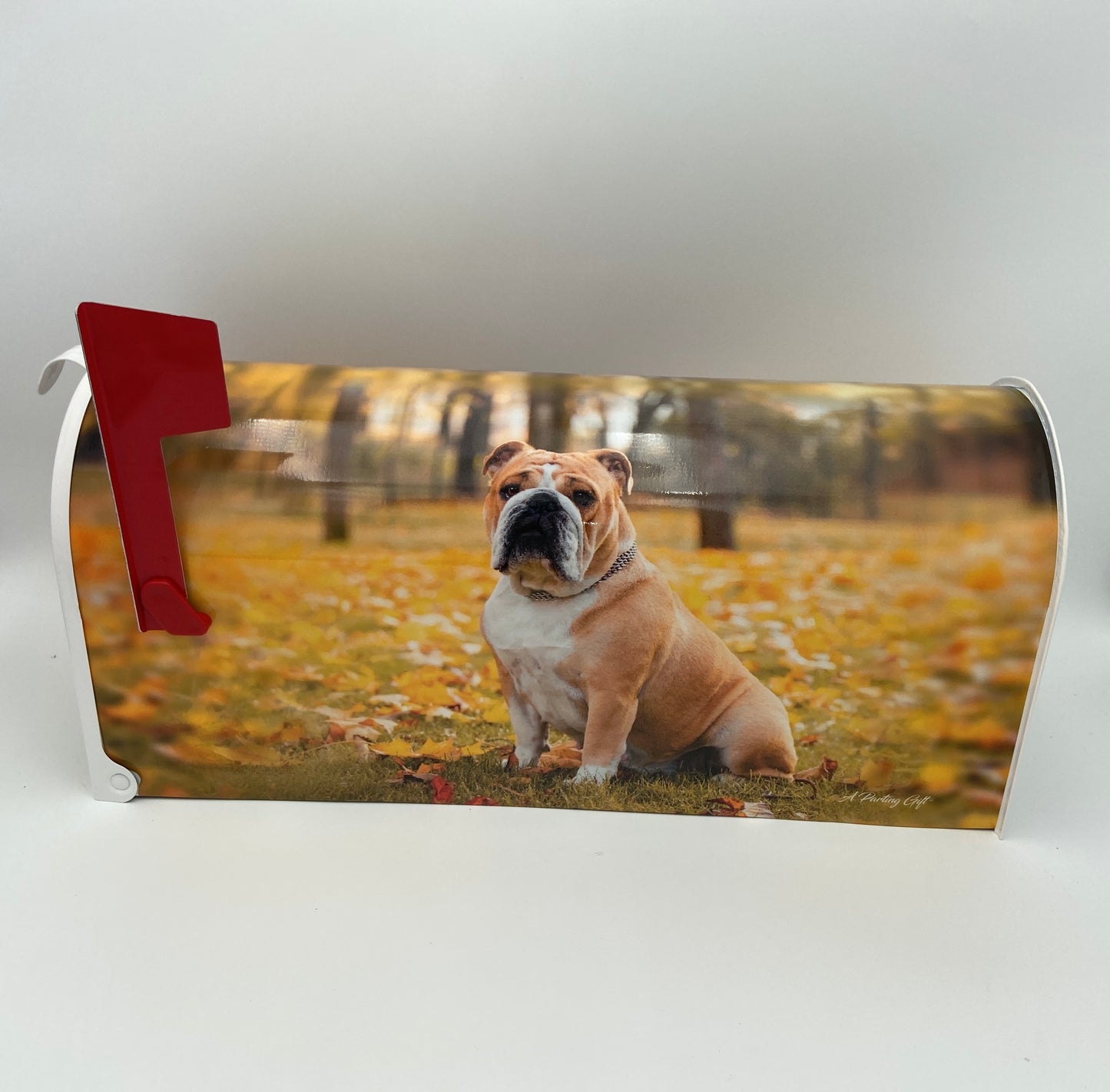 English Bulldog Custom Mailbox, Gift for Mom, Gift for Dad