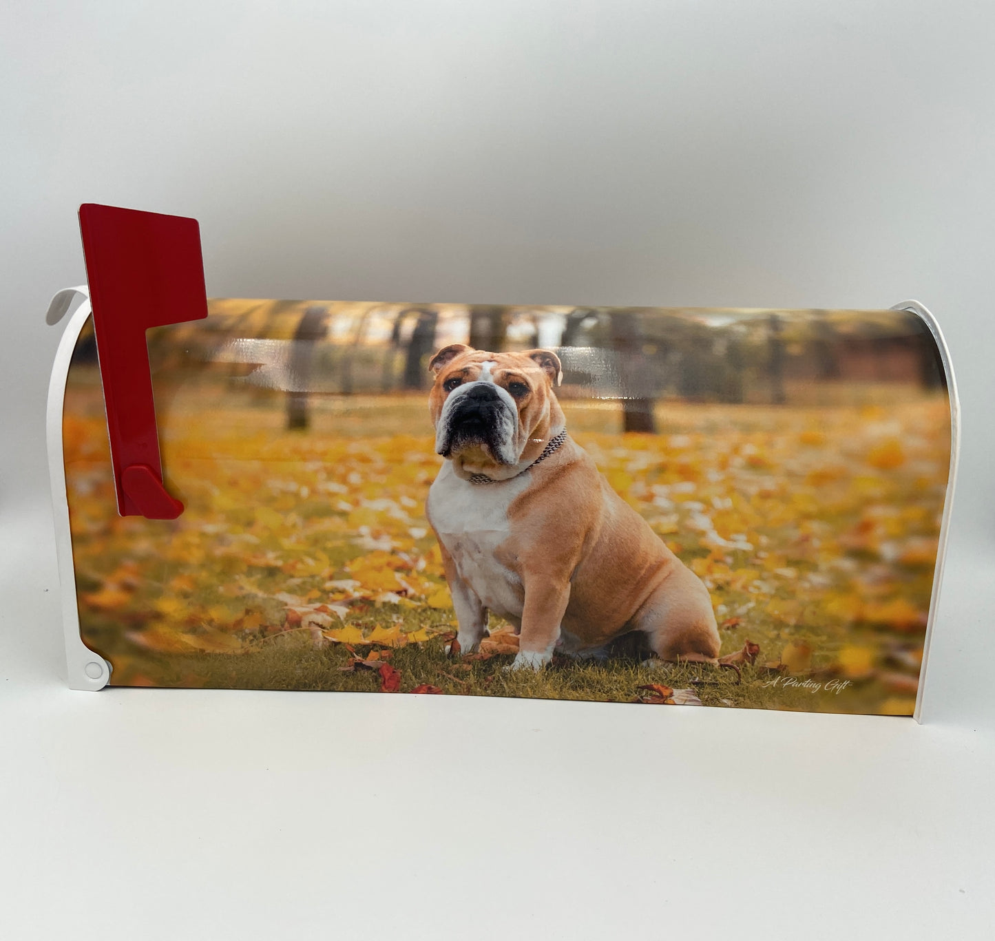 English Bulldog Custom Mailbox, Gift for Mom, Gift for Dad
