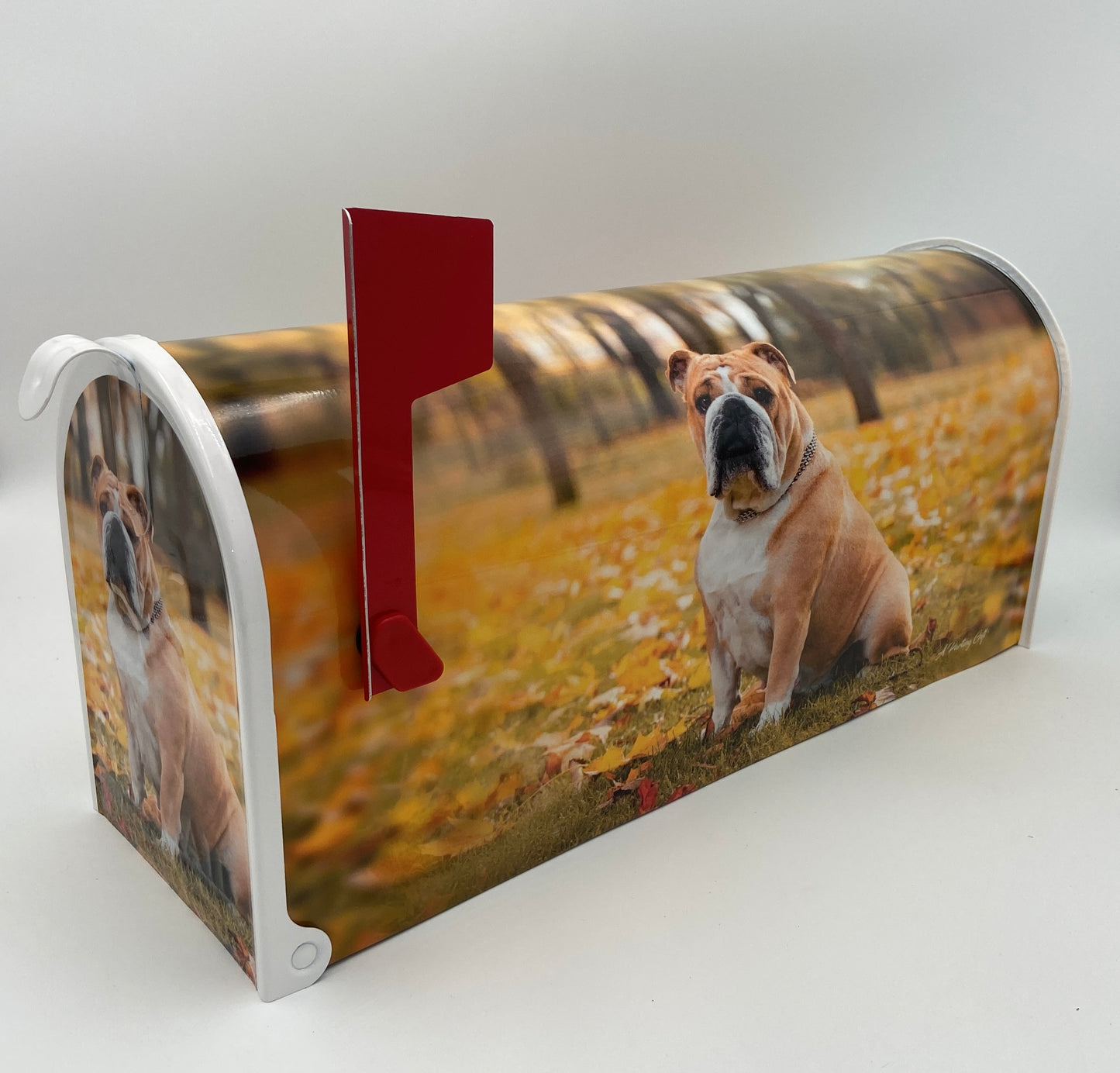 English Bulldog Custom Mailbox, Gift for Mom, Gift for Dad