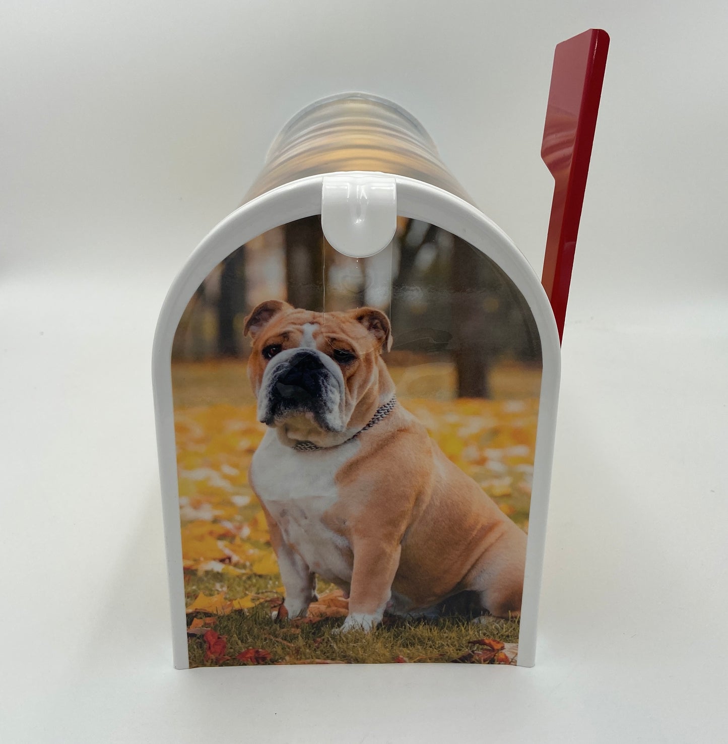 English Bulldog Custom Mailbox, Gift for Mom, Gift for Dad