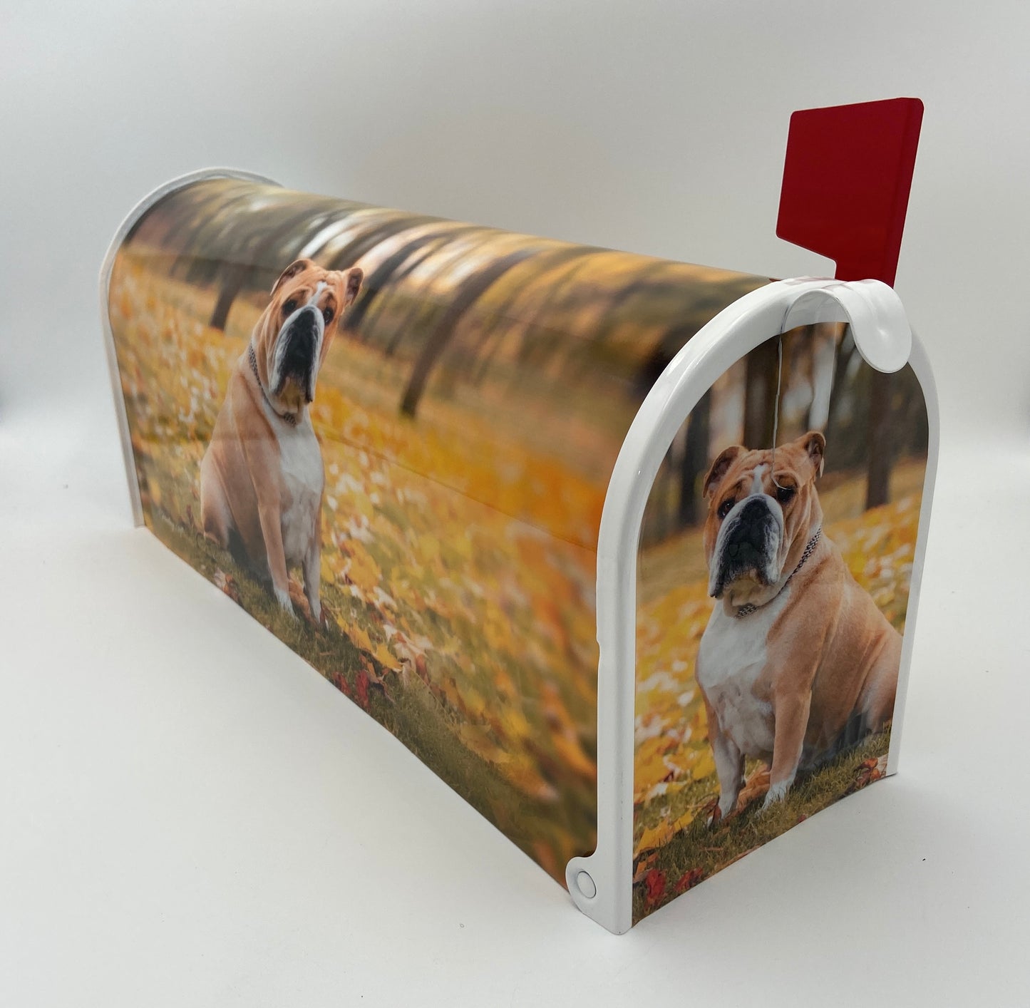 English Bulldog Custom Mailbox, Gift for Mom, Gift for Dad