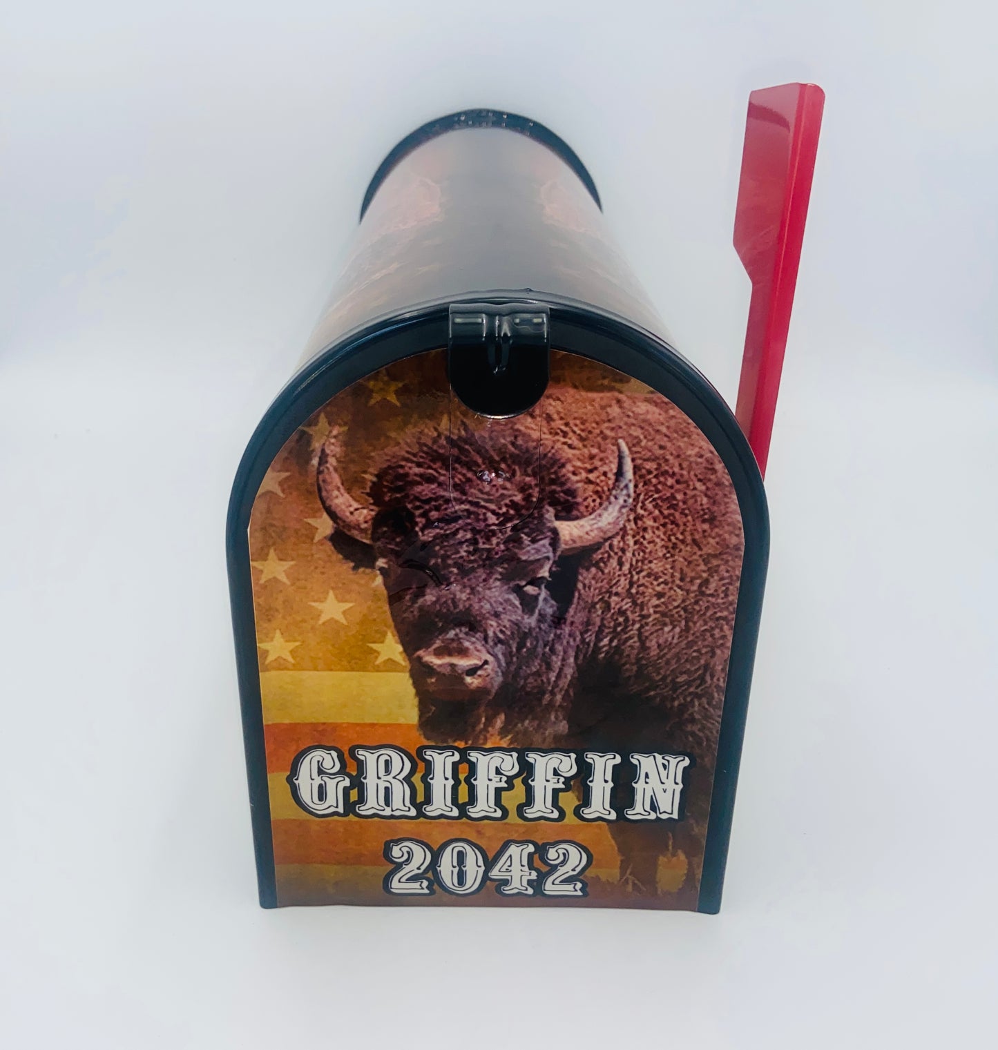 Majestic Bison Custom Mailbox | Embrace the Spirit of the Wild West