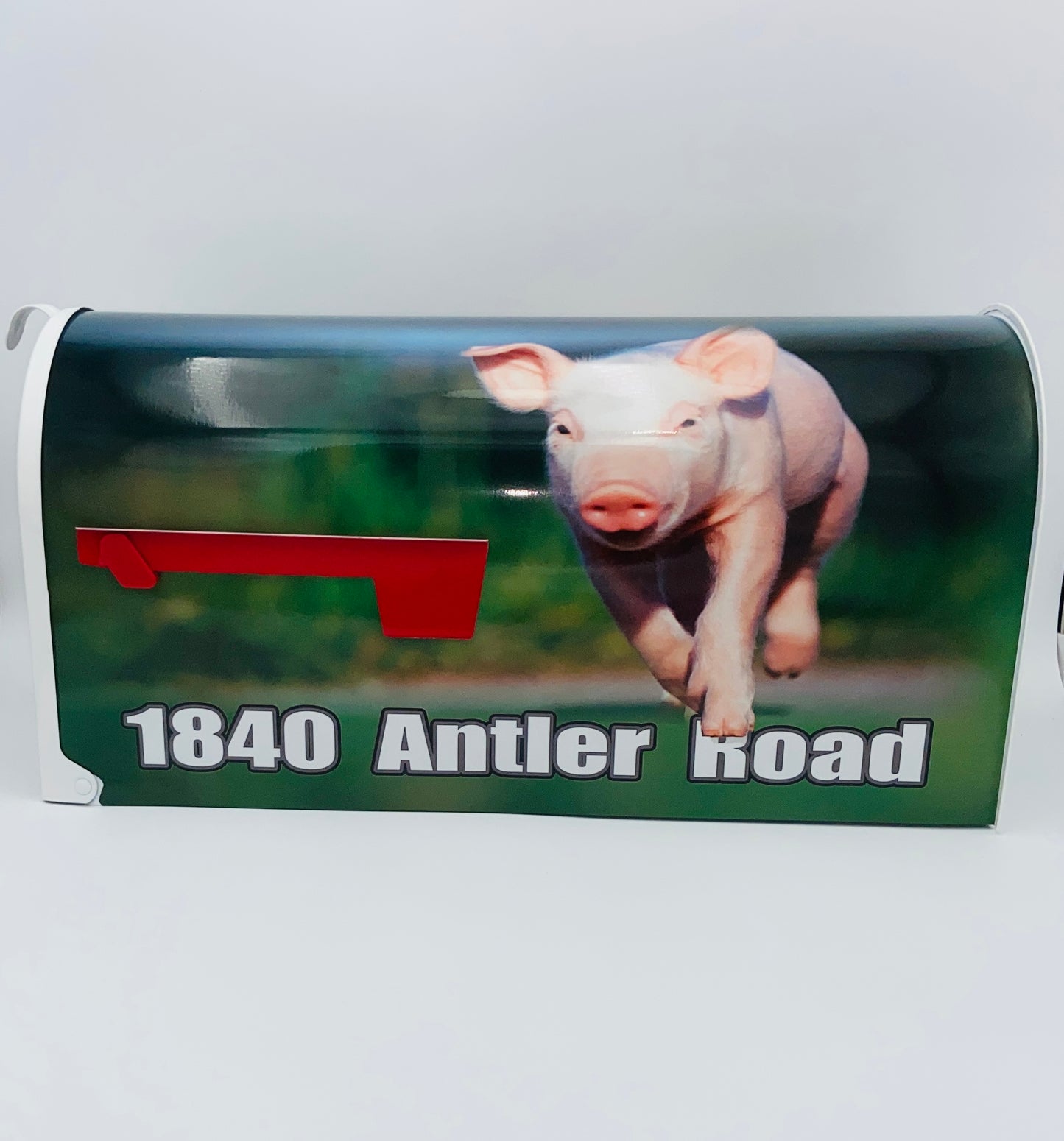 Cheeky Piglet Custom Mailbox: Add a Fun Farm Twist to Your Curb Appeal