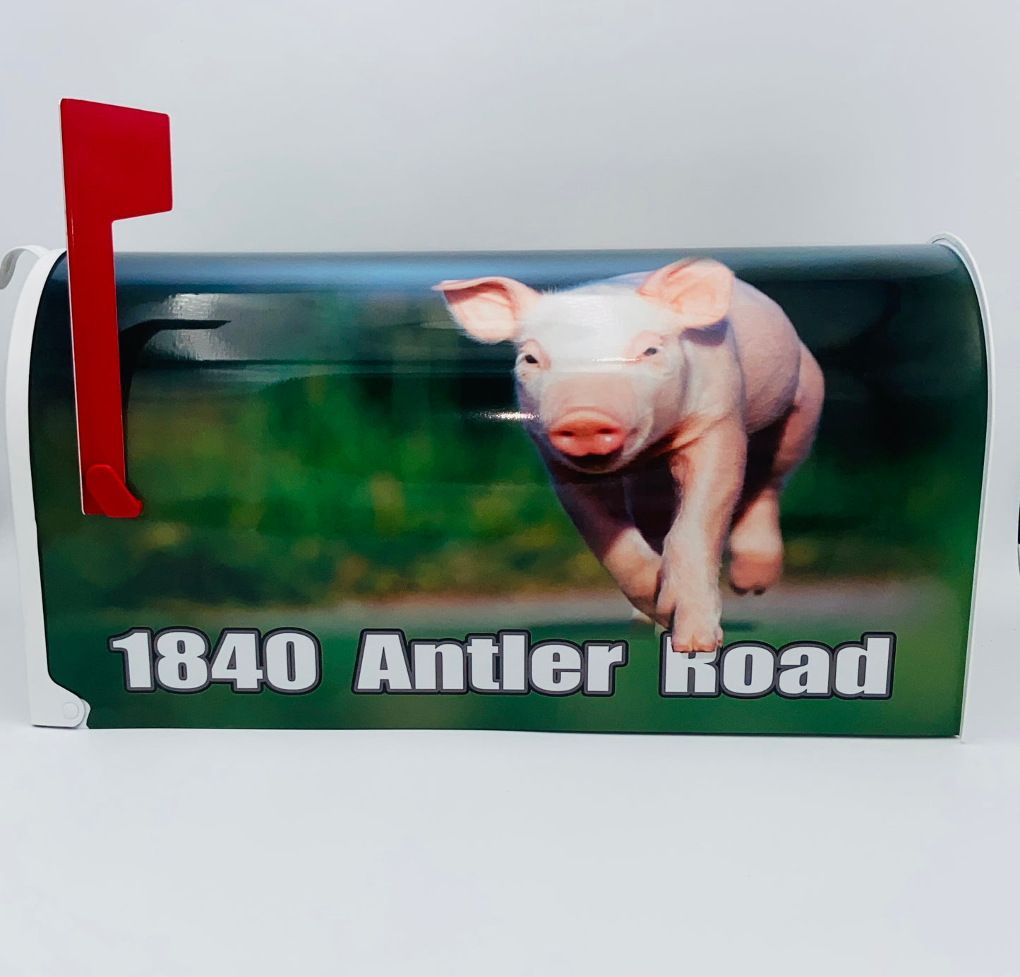 Cheeky Piglet Custom Mailbox: Add a Fun Farm Twist to Your Curb Appeal