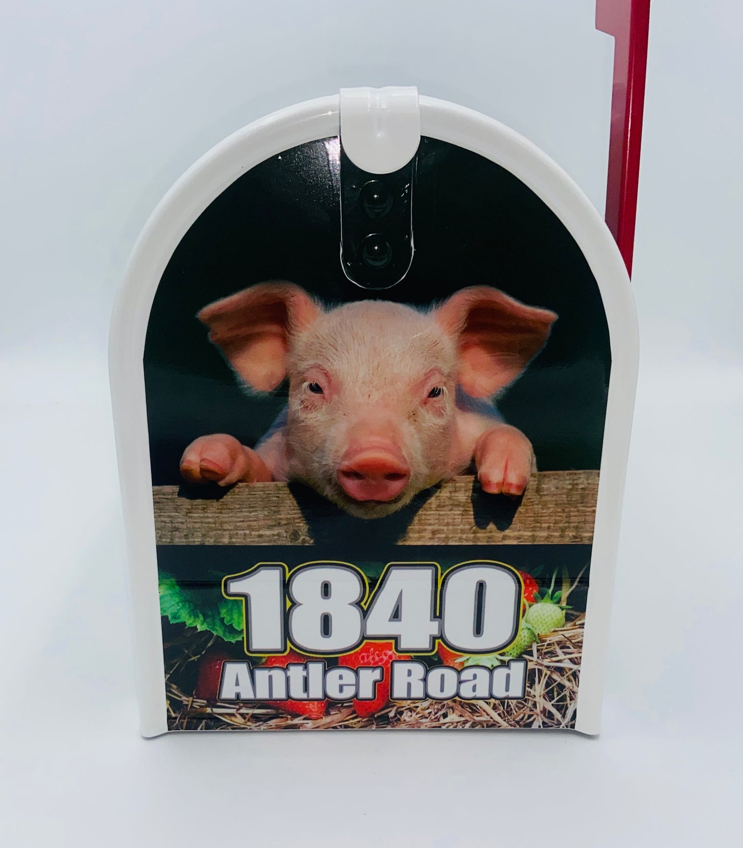 Cheeky Piglet Custom Mailbox: Add a Fun Farm Twist to Your Curb Appeal