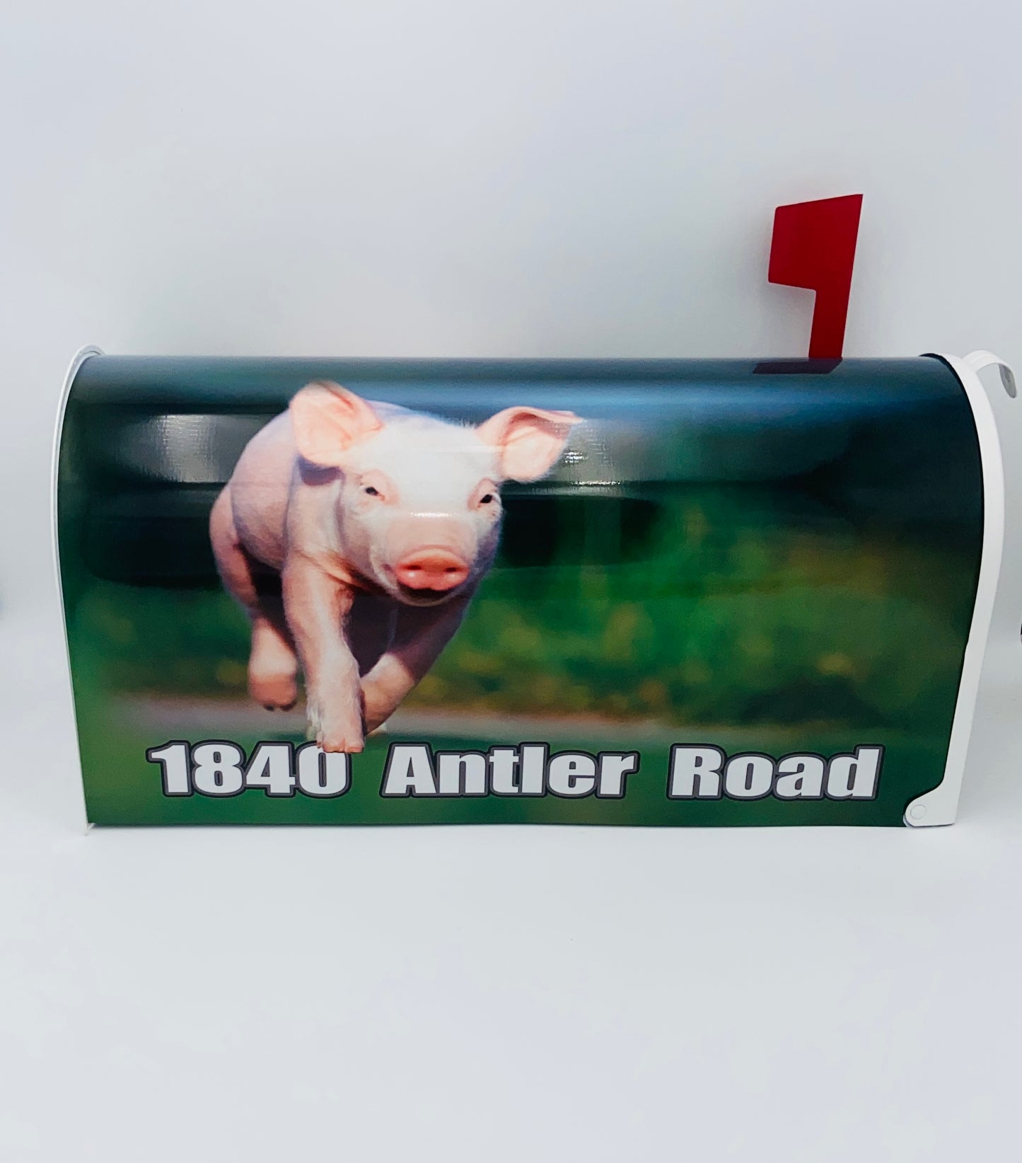Cheeky Piglet Custom Mailbox: Add a Fun Farm Twist to Your Curb Appeal