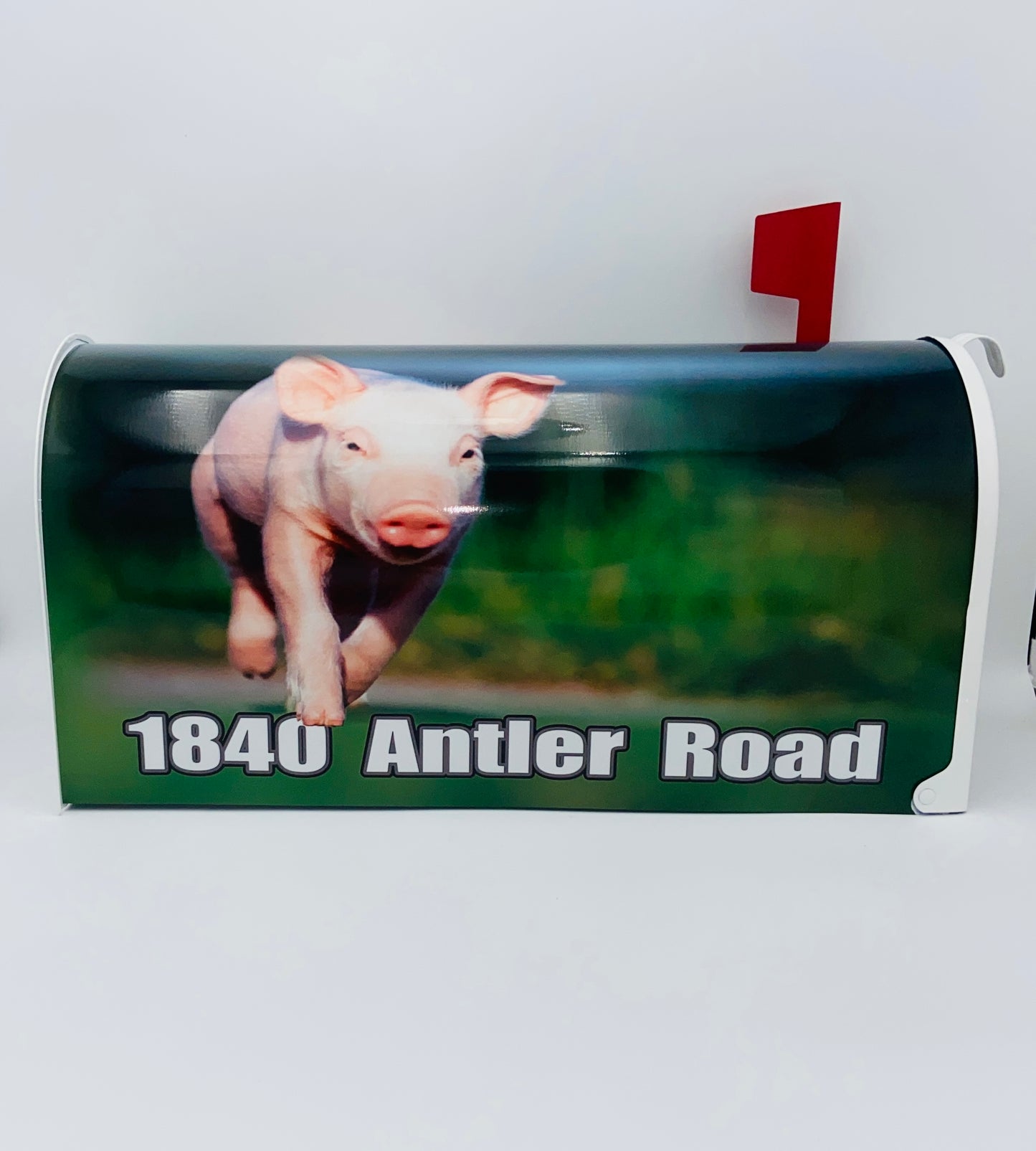 Cheeky Piglet Custom Mailbox: Add a Fun Farm Twist to Your Curb Appeal