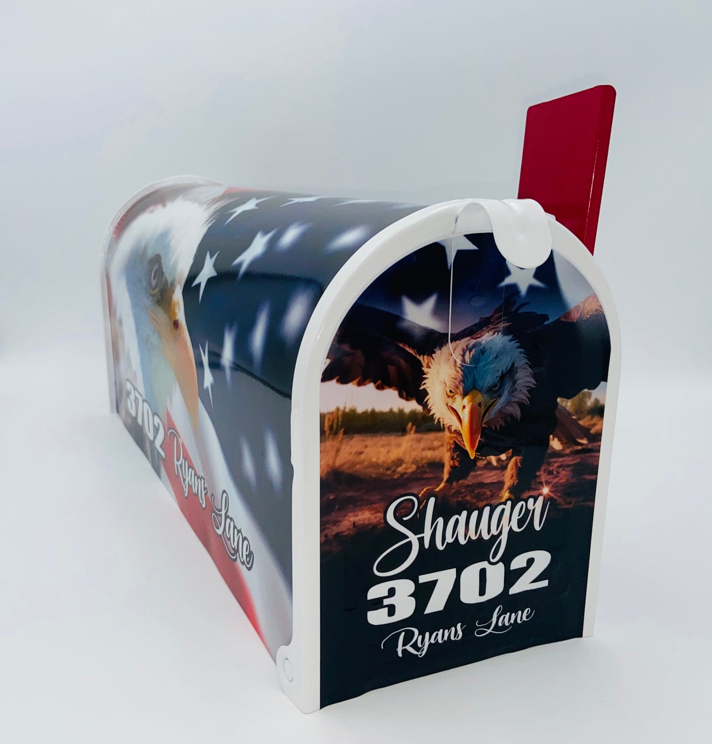 Bald Eagle Custom mailbox: Gift for Mom and Dad