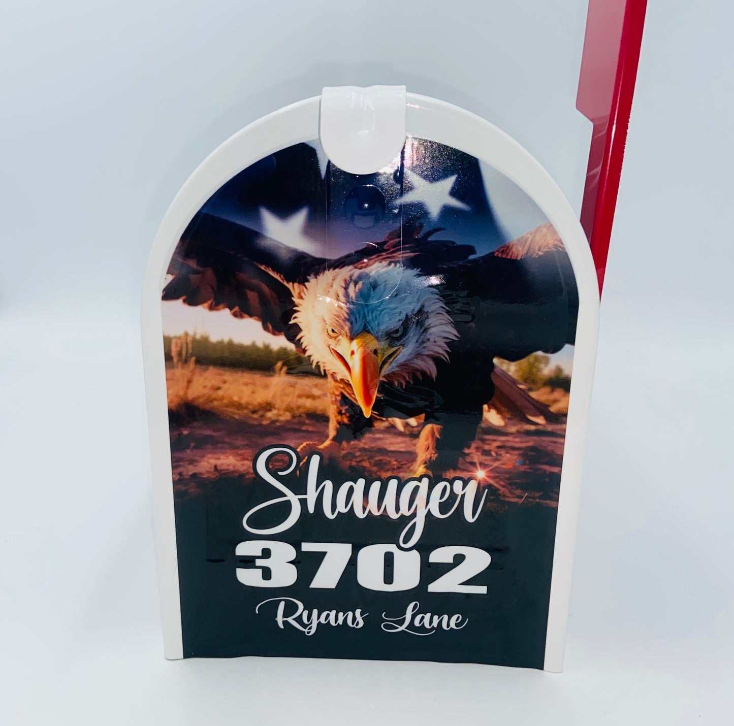 Bald Eagle Custom mailbox: Gift for Mom and Dad