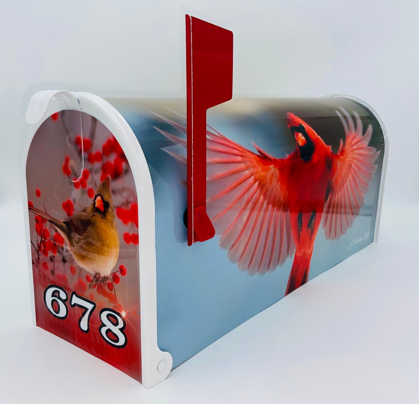 Cardinal Bird Custom Mailbox, Personalized gift for Christmas