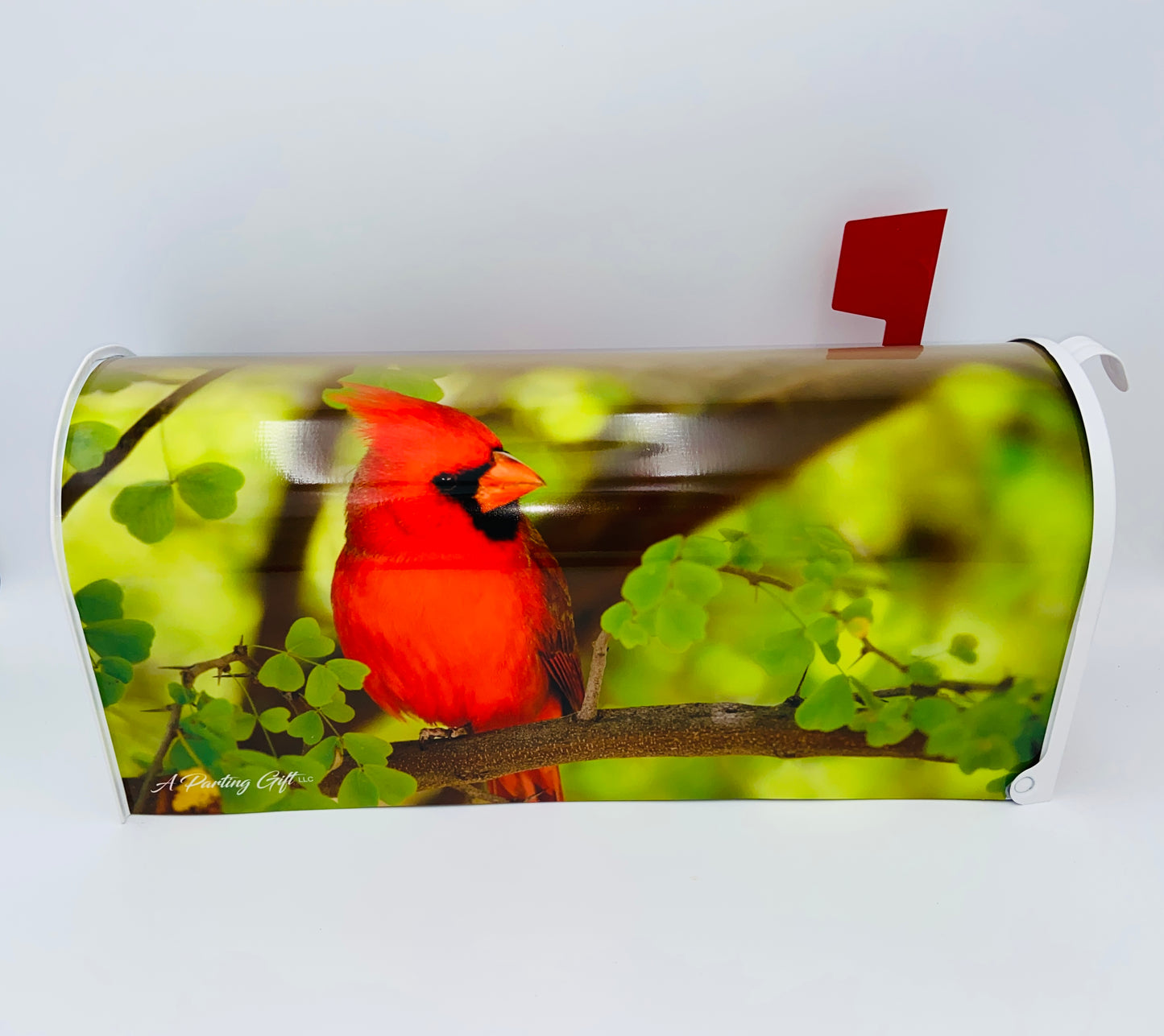 Cardinal Bird Custom Mailbox, Personalized gift for Christmas