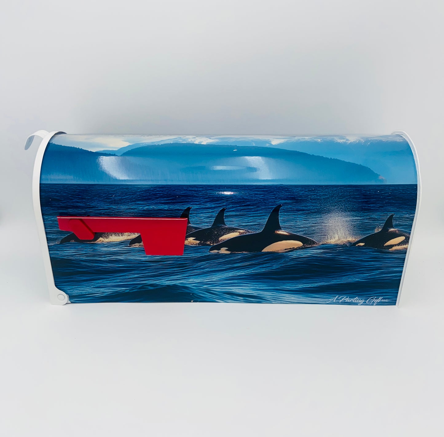 Orca Whale Mailbox, Beach House decoration