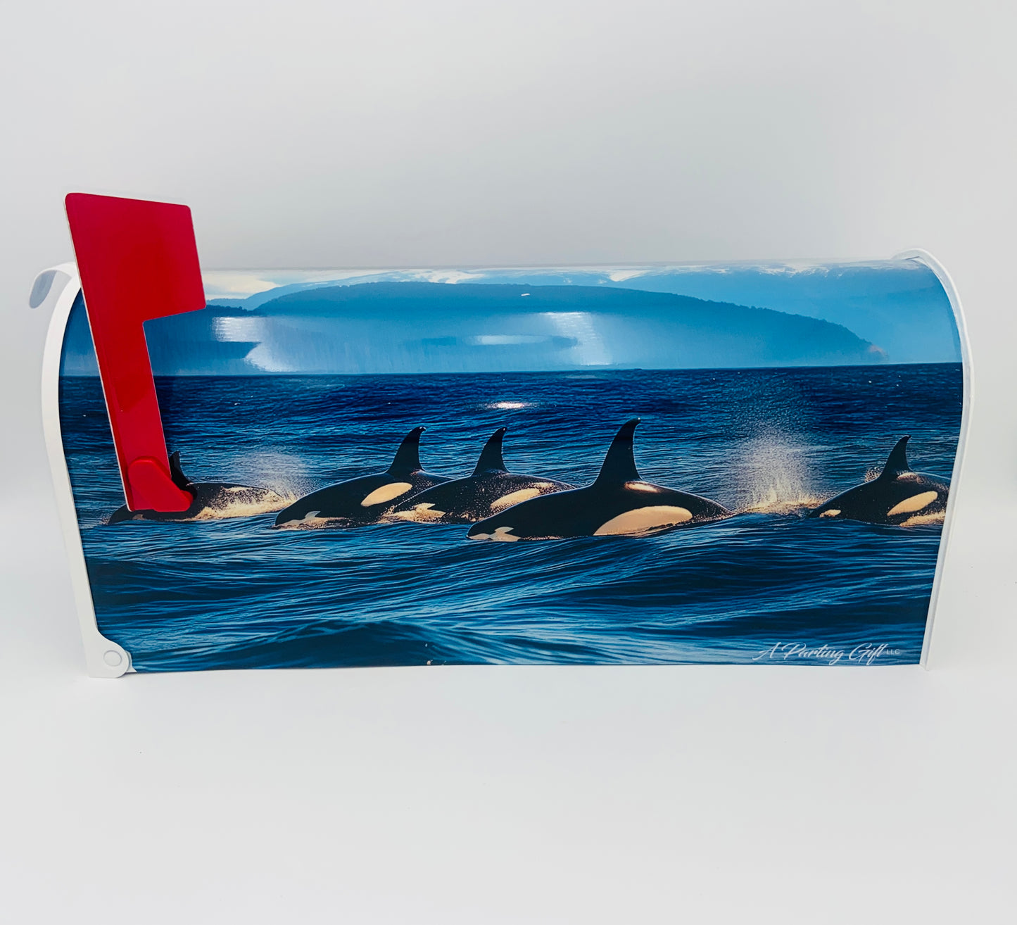 Orca Whale Mailbox, Beach House decoration