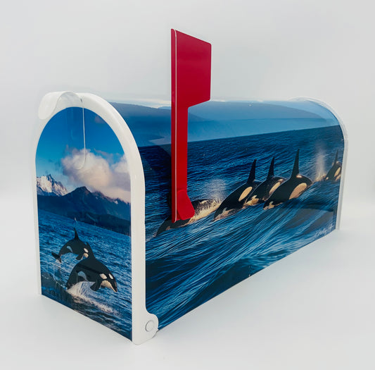 Orca Whale Mailbox, Beach House decoration