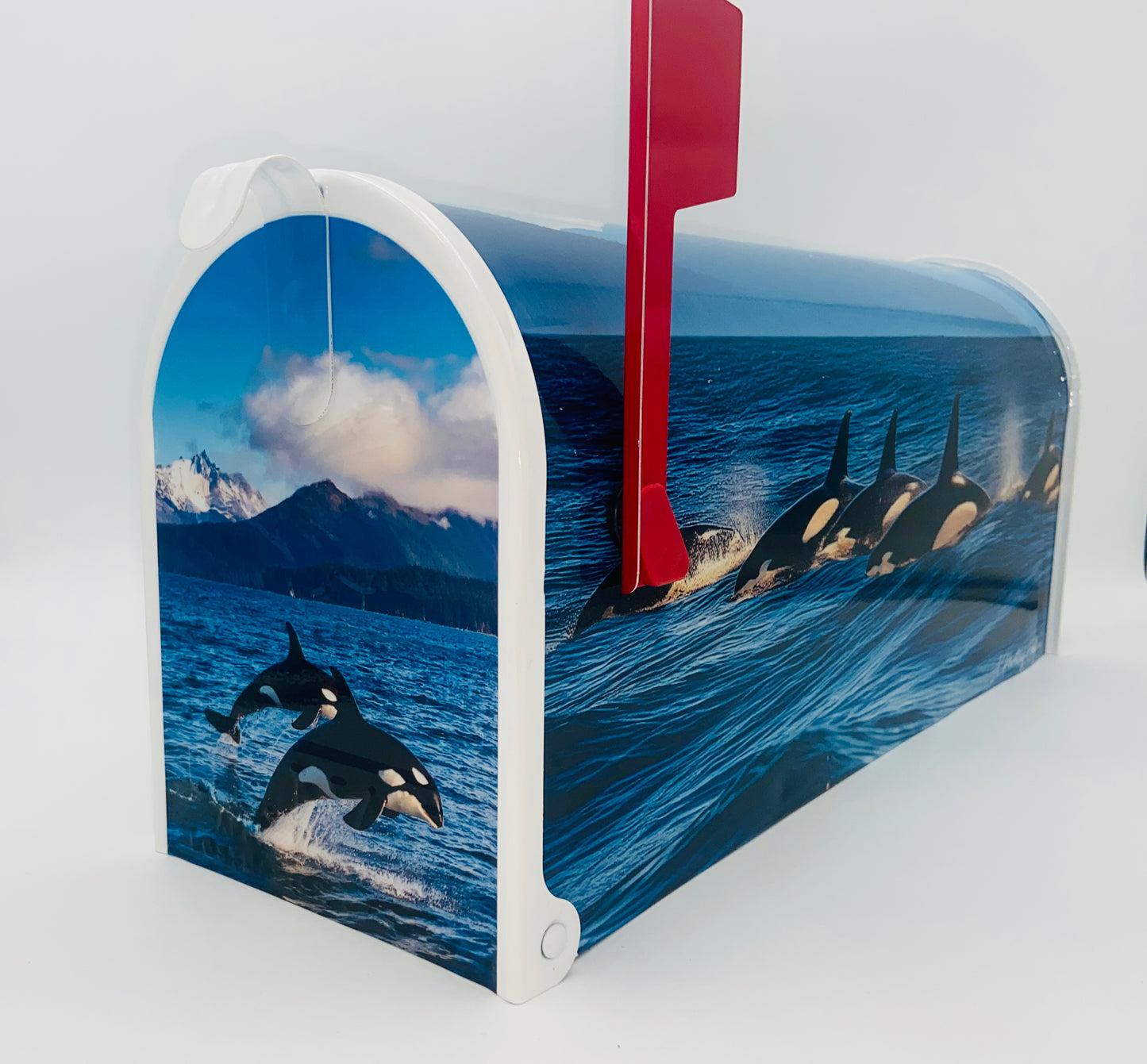 Orca Whale Mailbox, Beach House decoration
