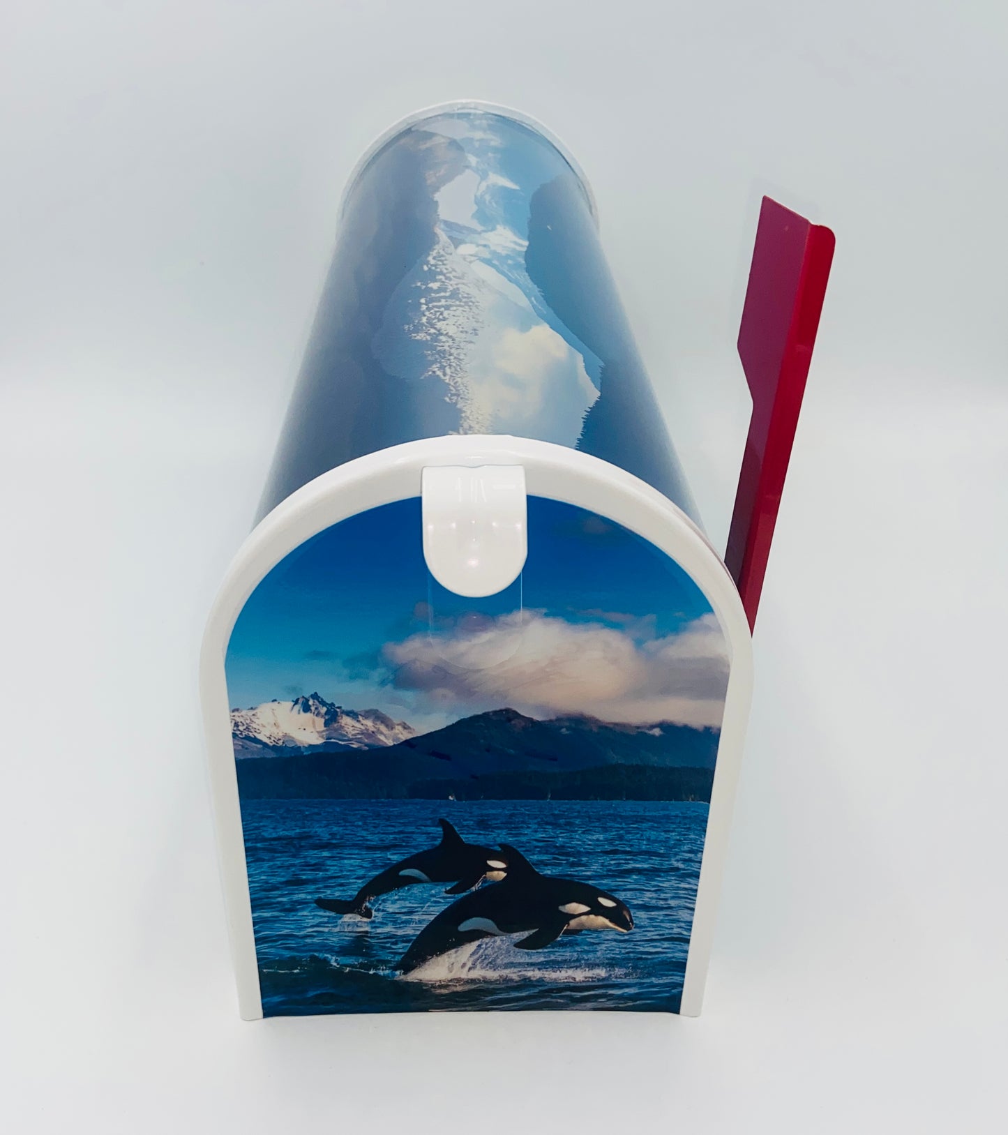 Orca Whale Mailbox, Beach House decoration