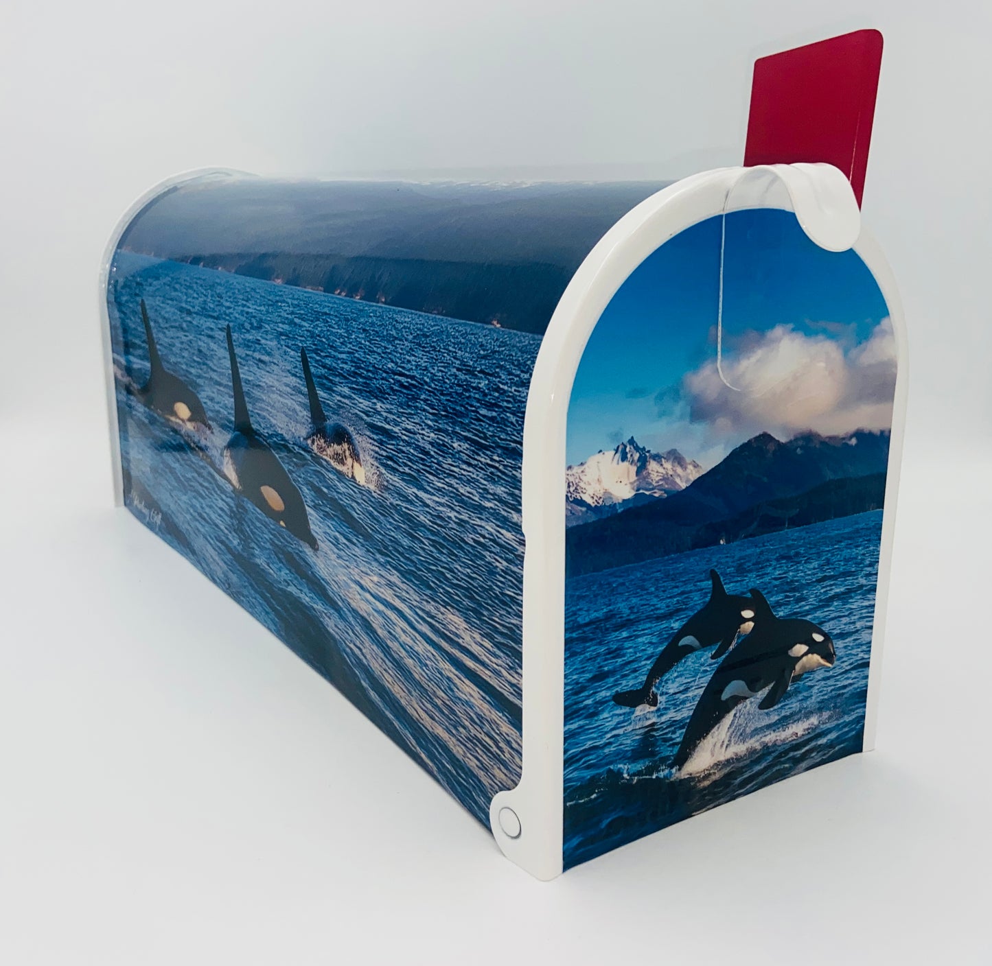 Orca Whale Mailbox, Beach House decoration