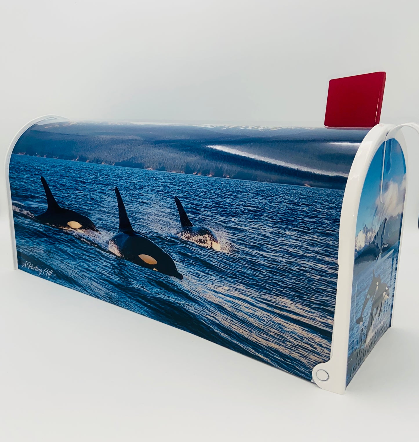Orca Whale Mailbox, Beach House decoration