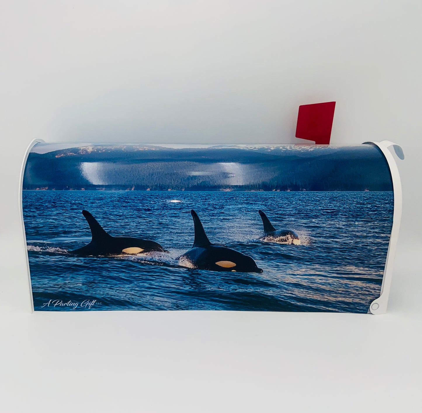 Orca Whale Mailbox, Beach House decoration