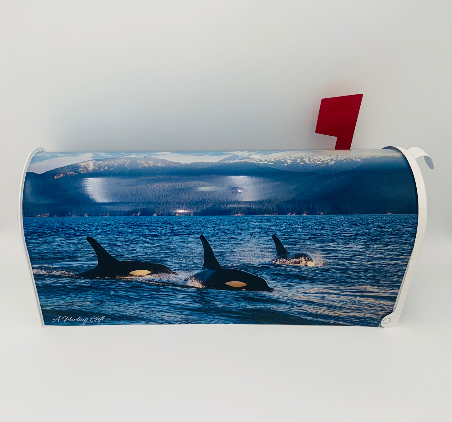 Orca Whale Mailbox, Beach House decoration