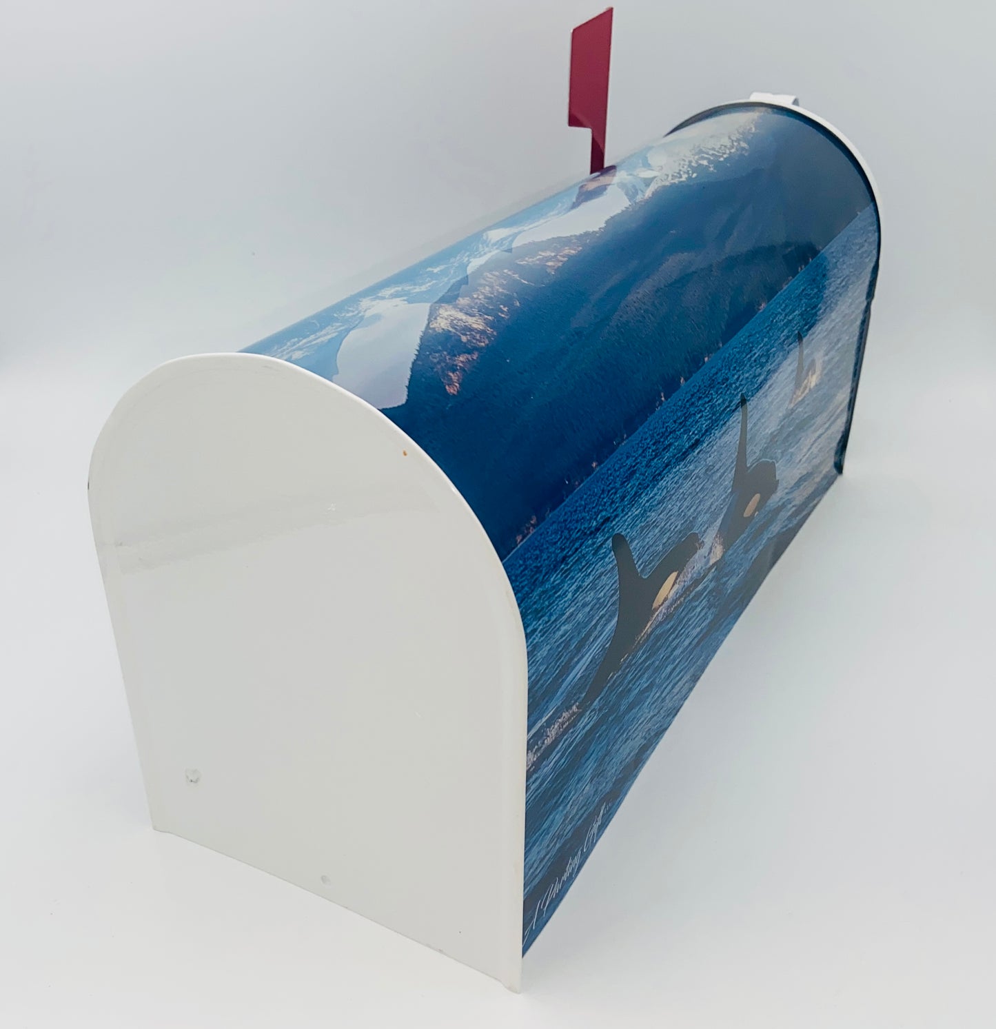 Orca Whale Mailbox, Beach House decoration