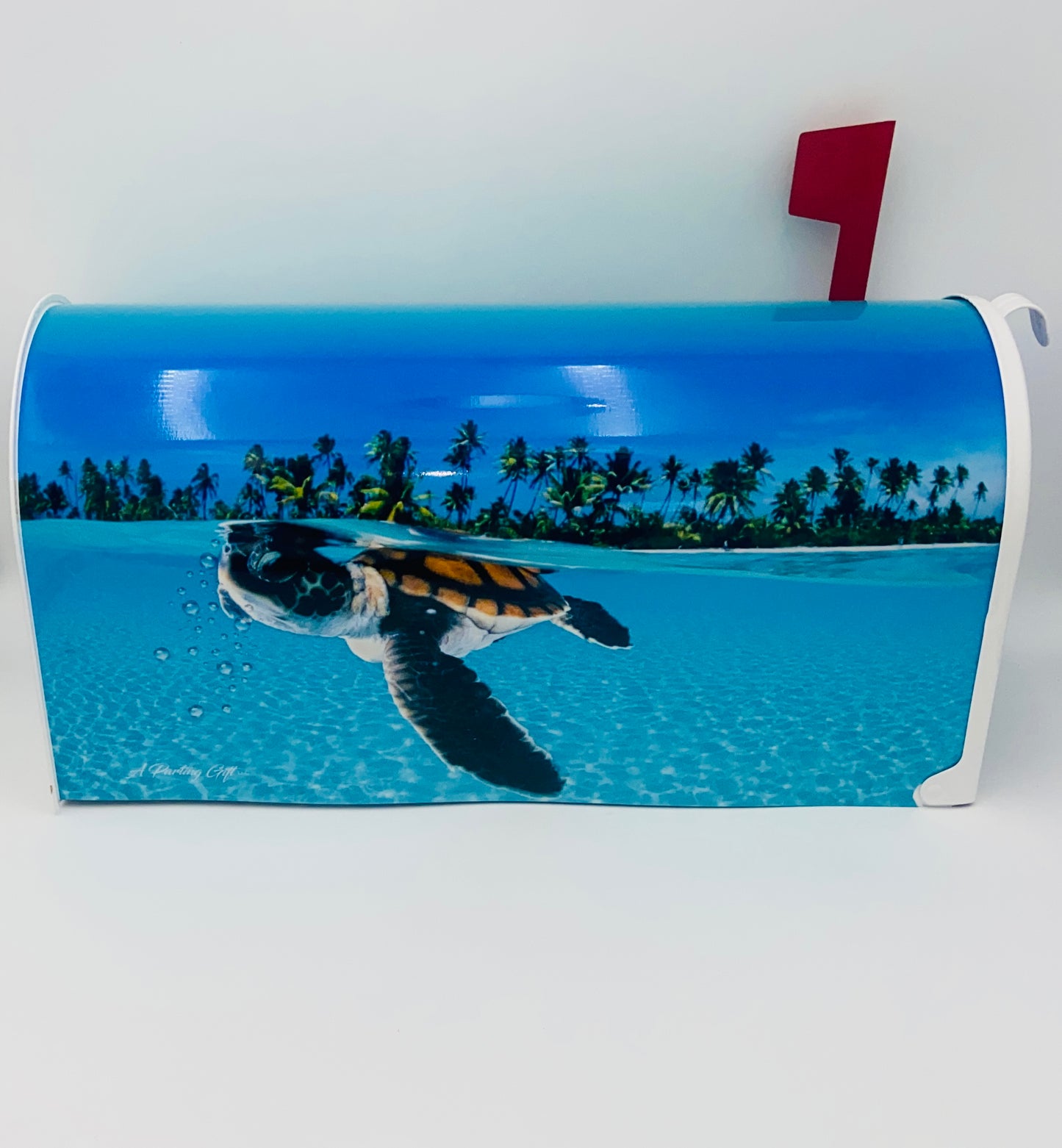 Baby Sea Turtle Mailbox is a unique gift idea