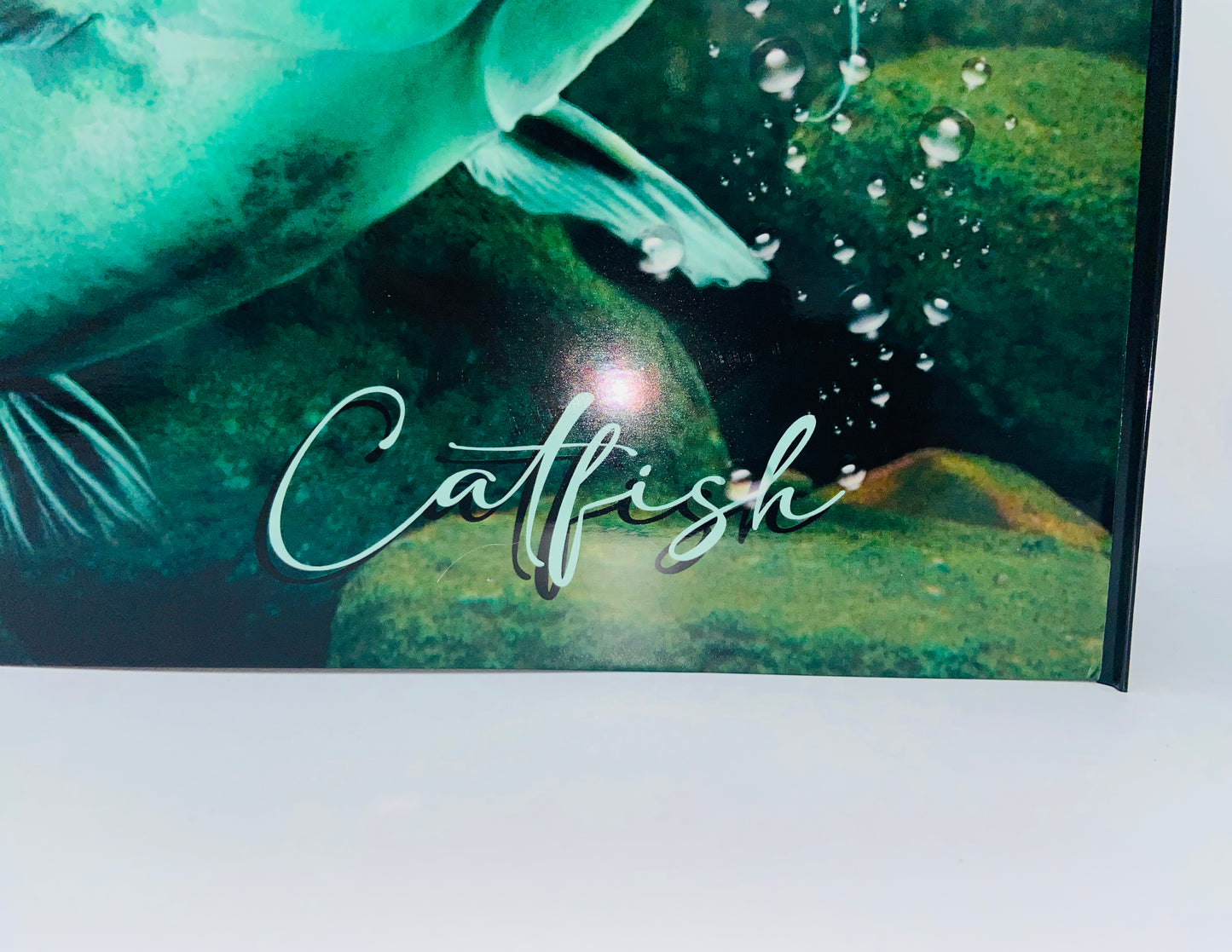 Catfish Custom Mailbox, Personalized Gifts