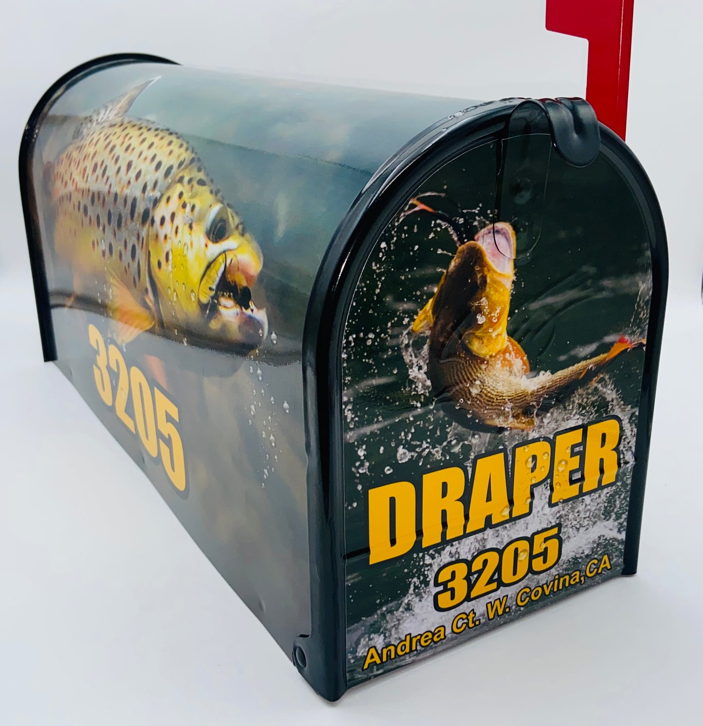 Trout fishing Mailbox Gift for Mom and Dad