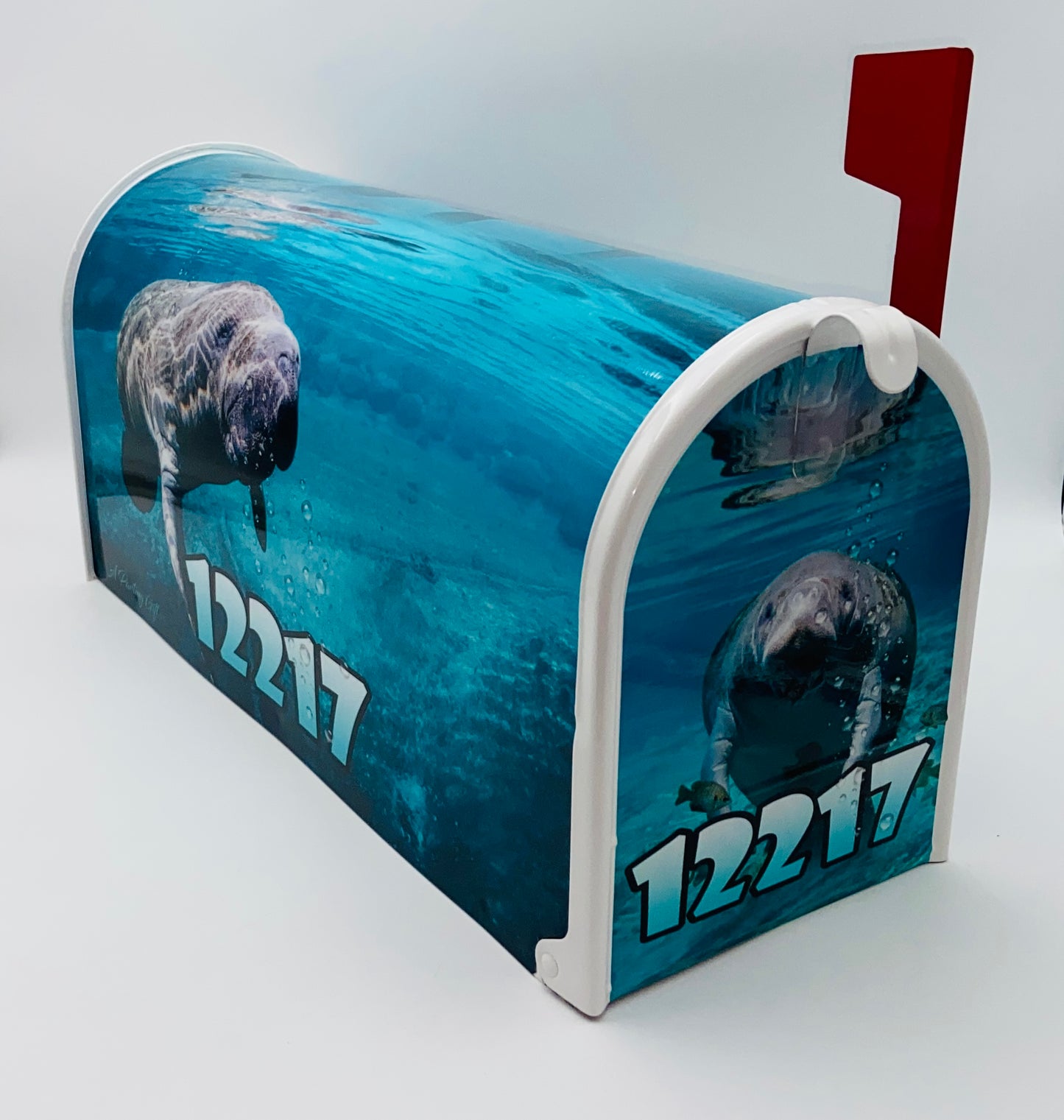 Manatee Custom mailbox, Personalized Gifts for Birthdays