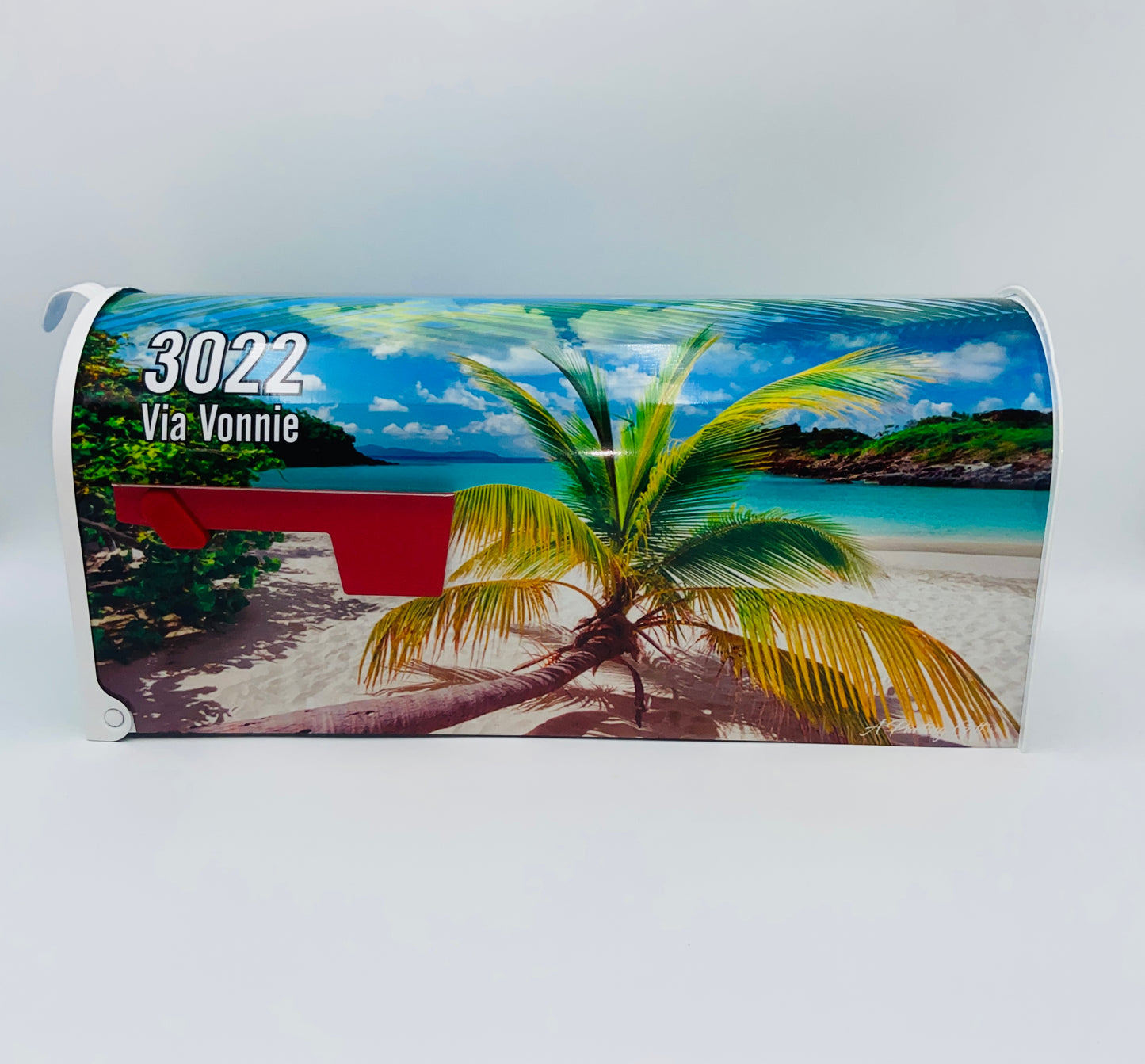 Tropical custom mailbox, Beach house gift